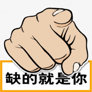 安徽沙丘数据系统有限责任公司-人才招聘